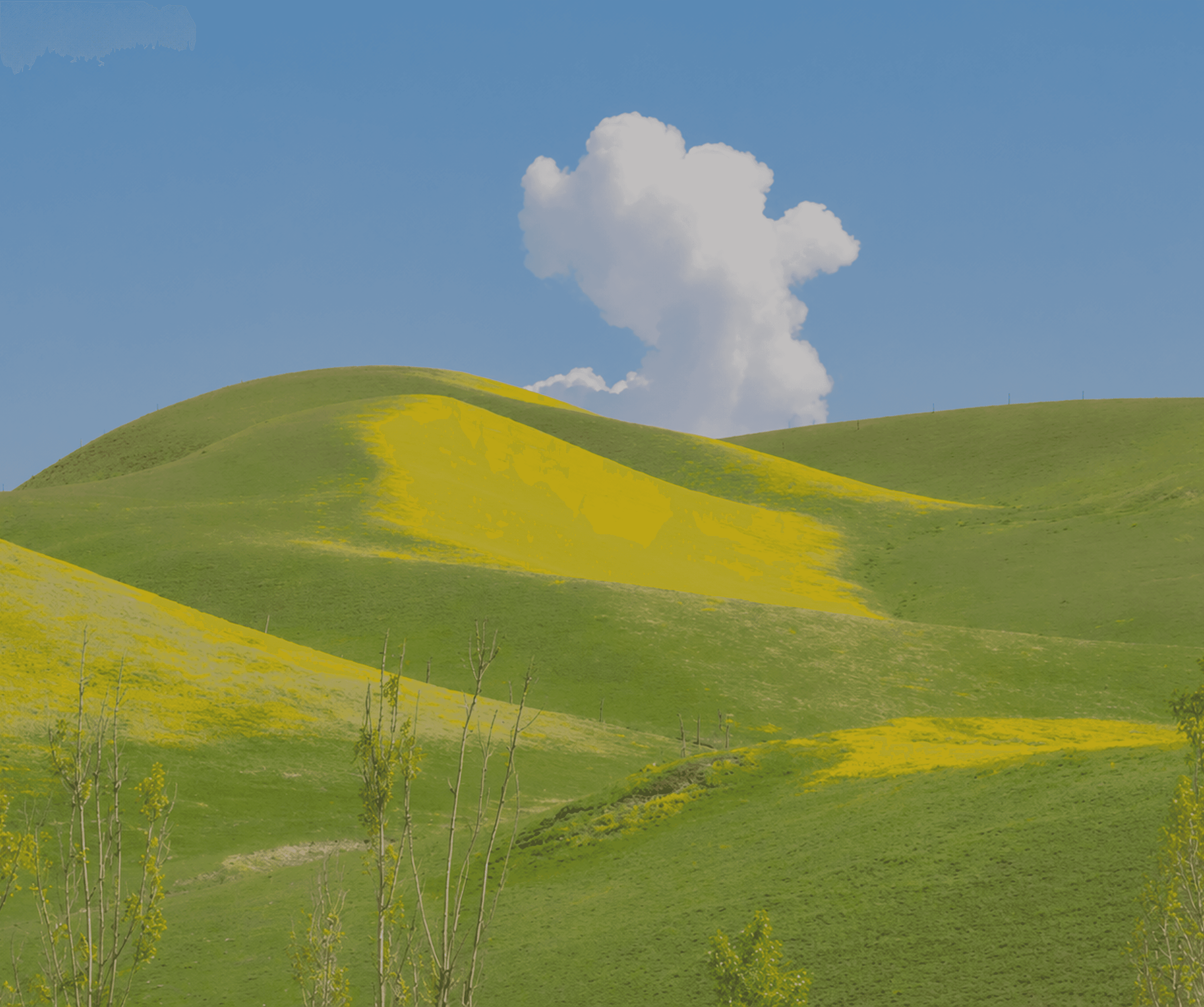 Green rolling hills and cloud landscape